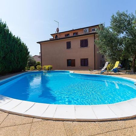 Apartments With A Swimming Pool Novigrad - 7078 外观 照片