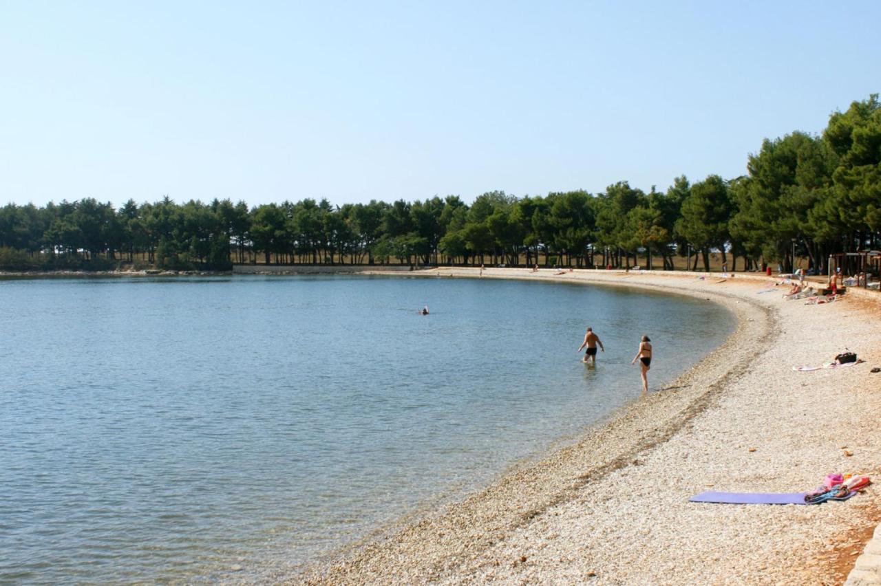 Apartments With A Swimming Pool Novigrad - 7078 外观 照片