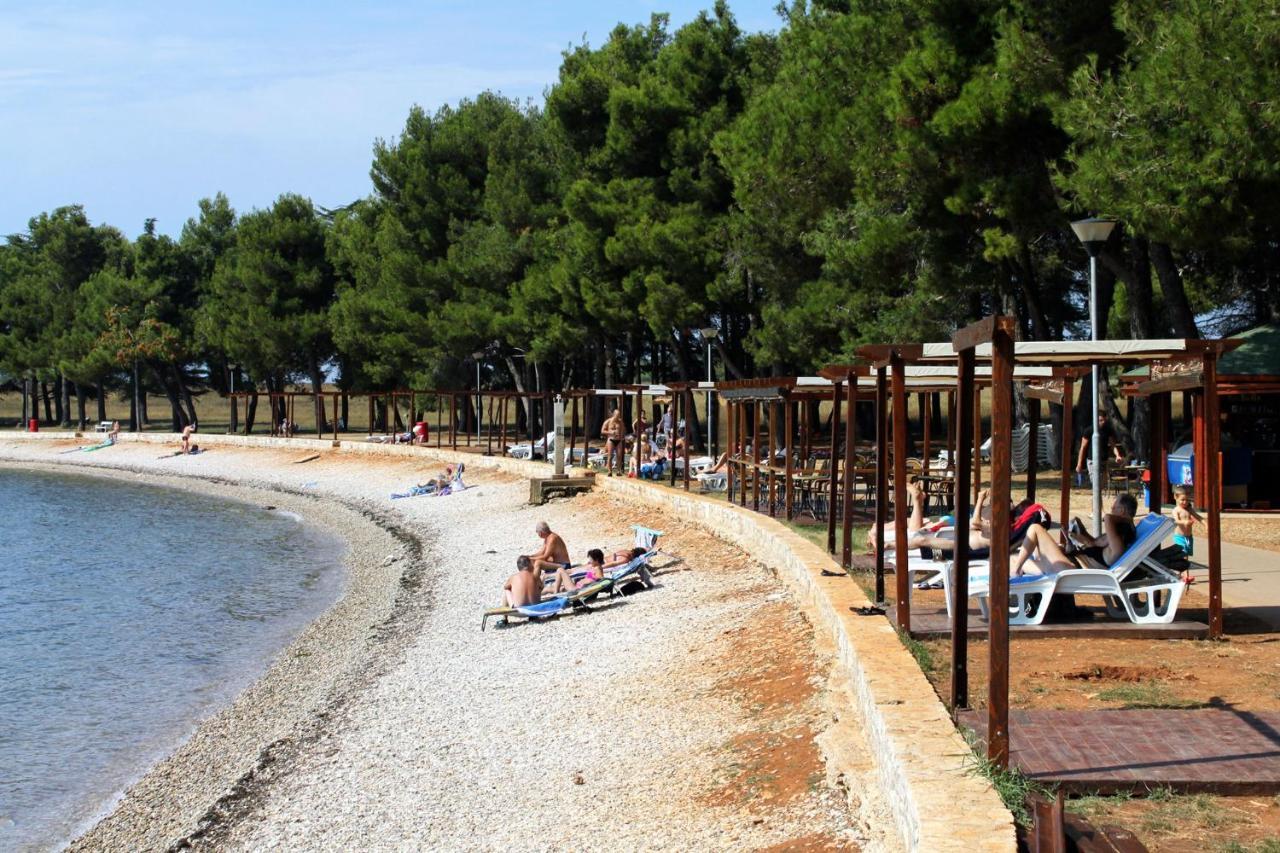 Apartments With A Swimming Pool Novigrad - 7078 外观 照片